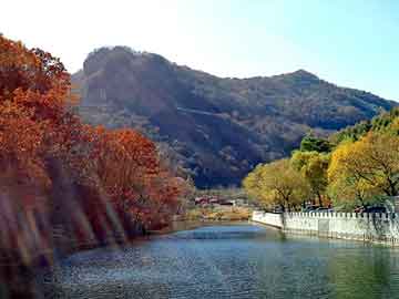 新澳天天彩免费资料大全查询，复盛空压机配件